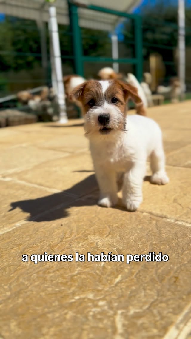 Portada de una publicación de Oncetartessos en Instagram